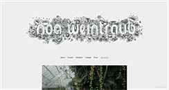 Desktop Screenshot of noaweintraub.com